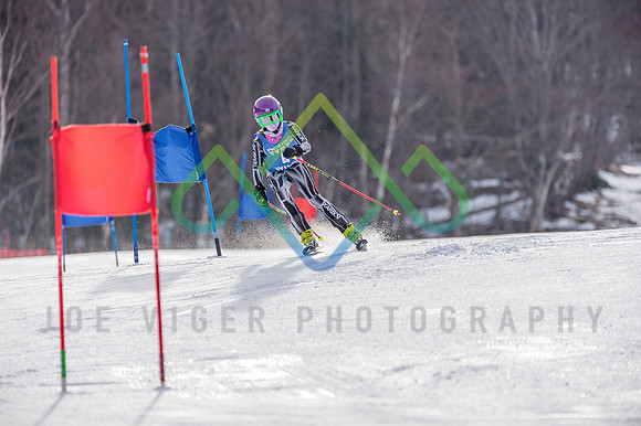 Wildcatu12u14-4822