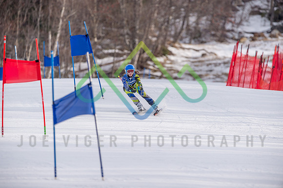 Wildcatu12u14-5131