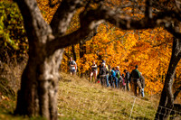 On Course