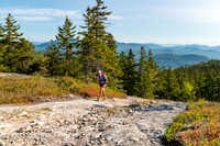 JRV_7629