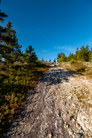 JRV_7633