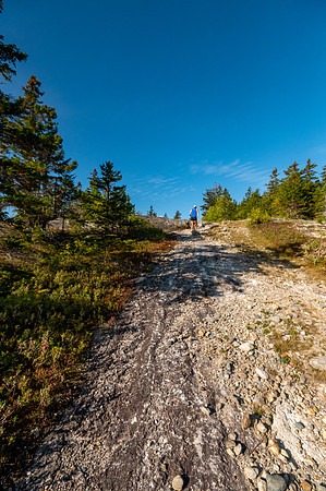 JRV_7633