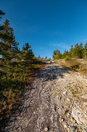 JRV_7634