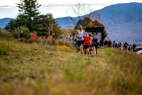 Half Marathon Start & First Road Crossing