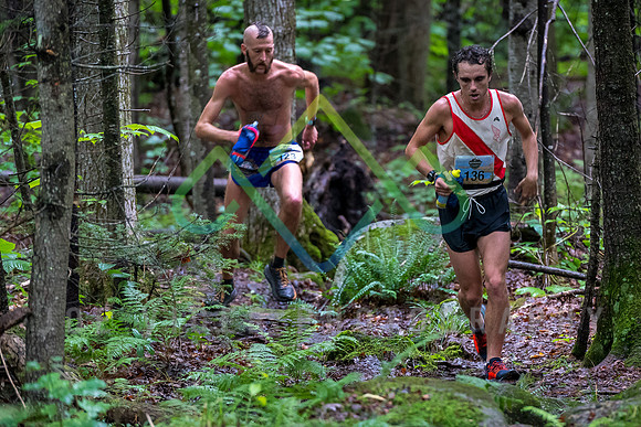 Ragged50k-7347