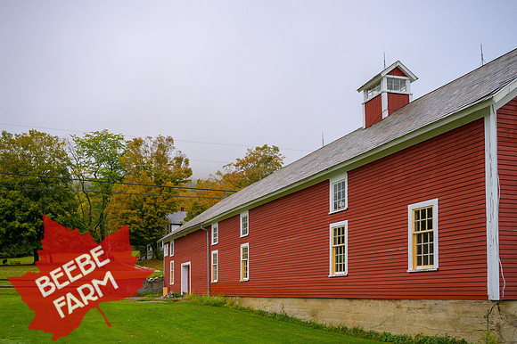 BeebeFarm-1276