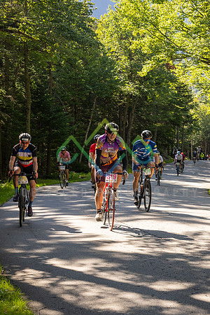 _C1A9144