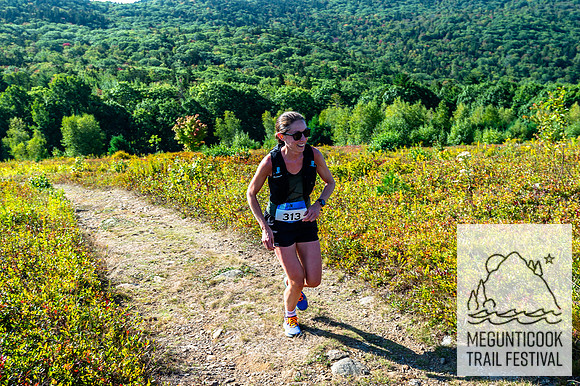 _JRV2376