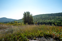 _JRV2321