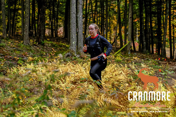 7E7A2753