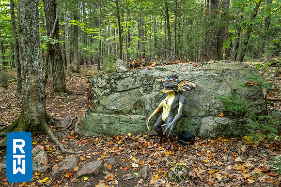 DSC_9153