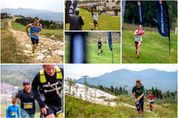 WMR collage 2023