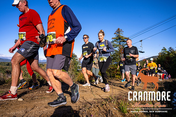 _JRV3944