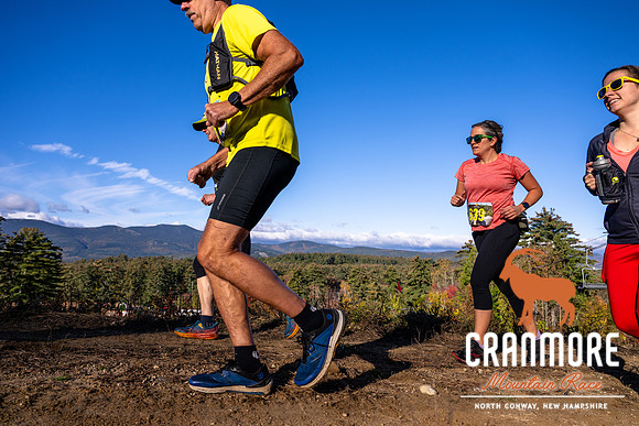 _JRV3966