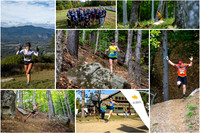 Cranmore 2023 collage