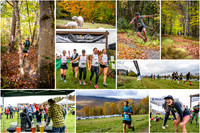 Trapp23collage