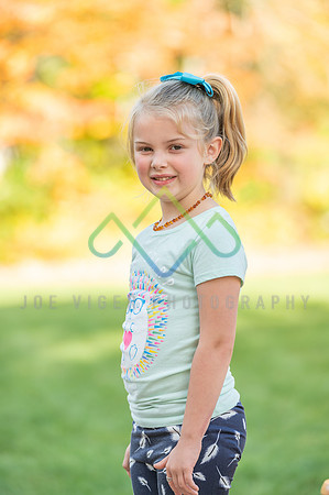 JRV_8041