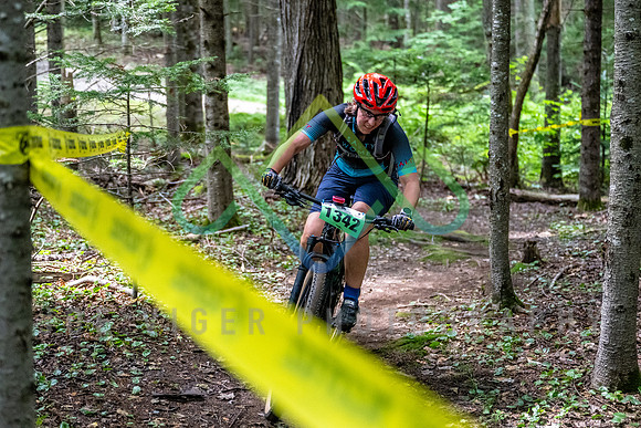 DSC_9984