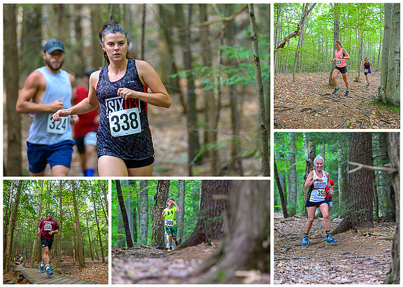 kingman collage