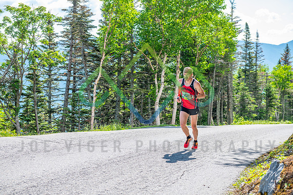 JRV_2013
