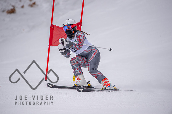 _JRV3463