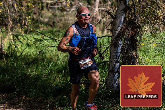 7E7A6633