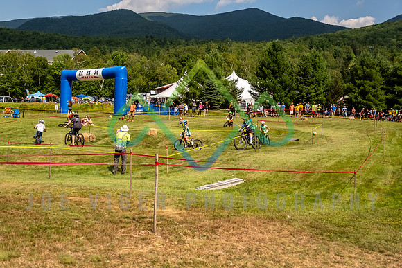 _DSF0871