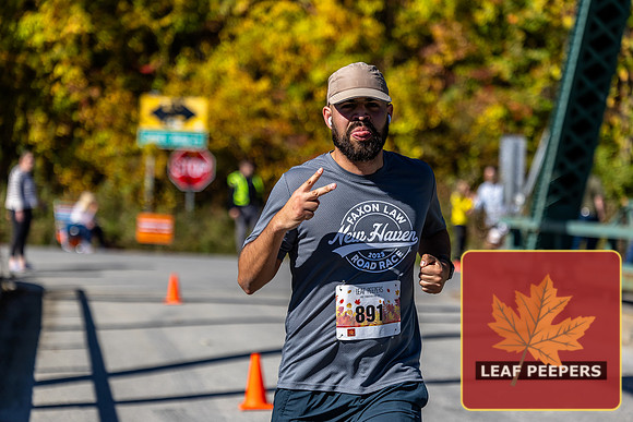 7E7A6544